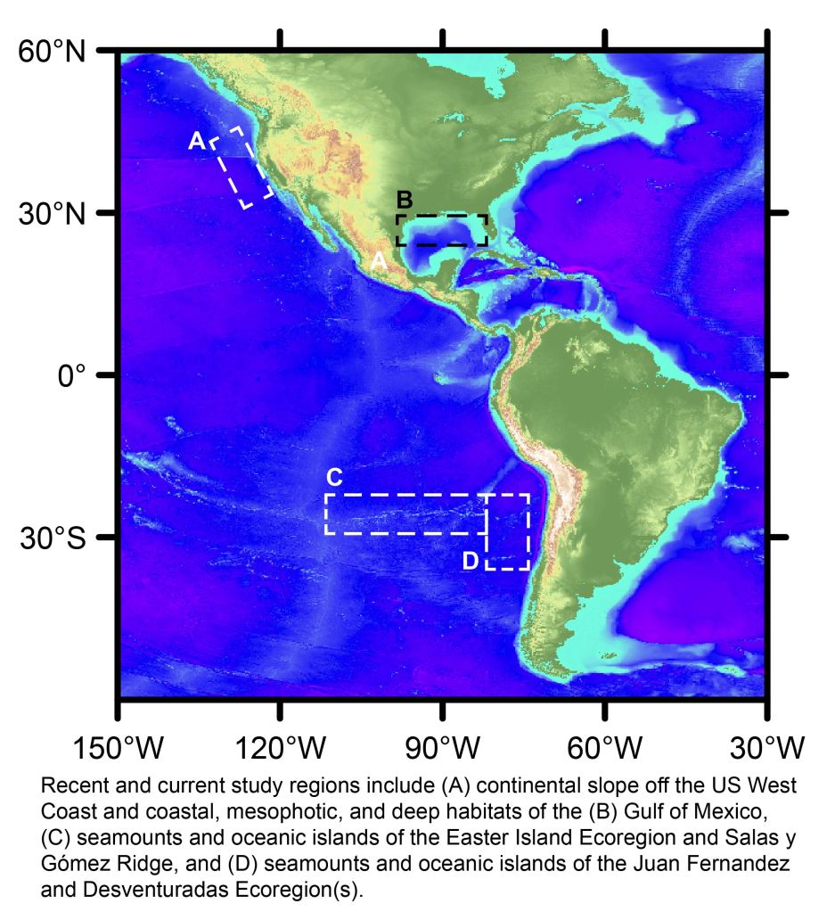 Image of the Americas indicating the recent and current study regions, which include (A) continental slope off the US West Coast and coastal, mesophotic, and deep habitats of the (B) Gulf of Mexico, (C) seamounts and oceanic islands of the Easter Island Ecoregion and Salas y
Gómez Ridge, and (D) seamounts and oceanic islands of the Juan Fernandez and Desventuradas Ecoregion(s).